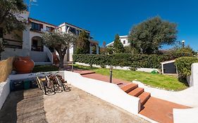 Damiano Holiday House